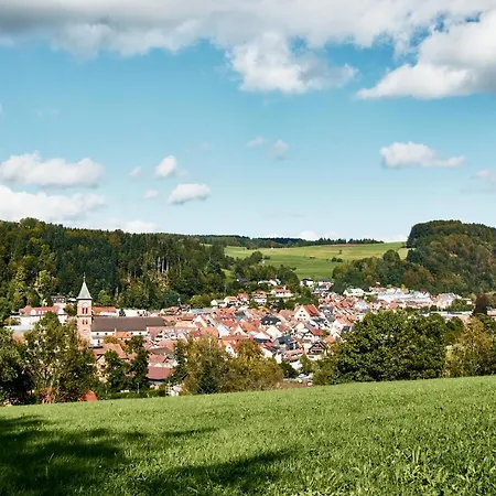 Naturferienwohnung Weitsicht Apartamento *